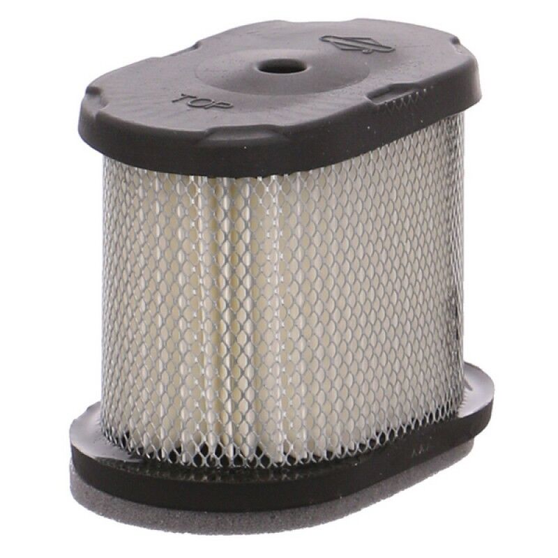 Briggs & Stratton Intek Air Filter 697029 Genuine Replacement Part - Outdoor Spares