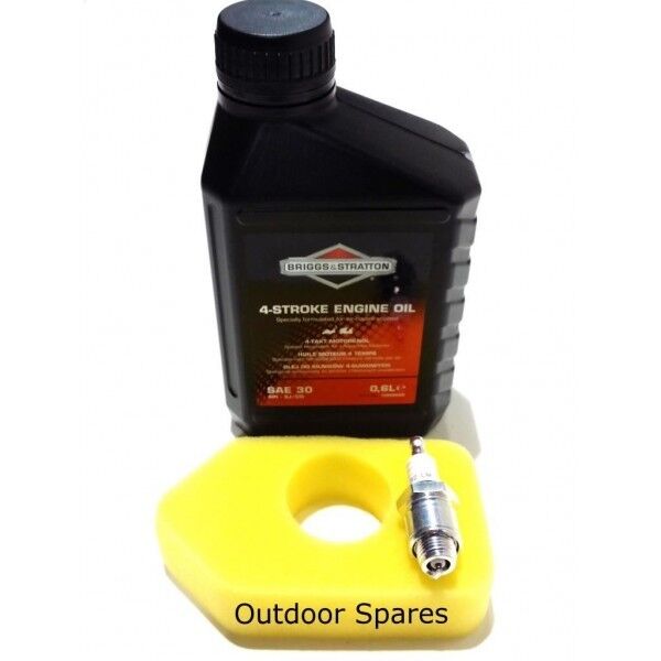Hayter Hawk Service Kit Fits Briggs & Stratton Classic and Sprint Engines - Outdoor Spares