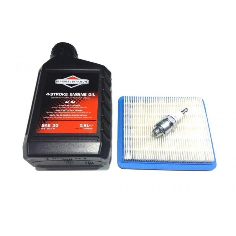 Briggs & Stratton Quantum Engine Service Kit