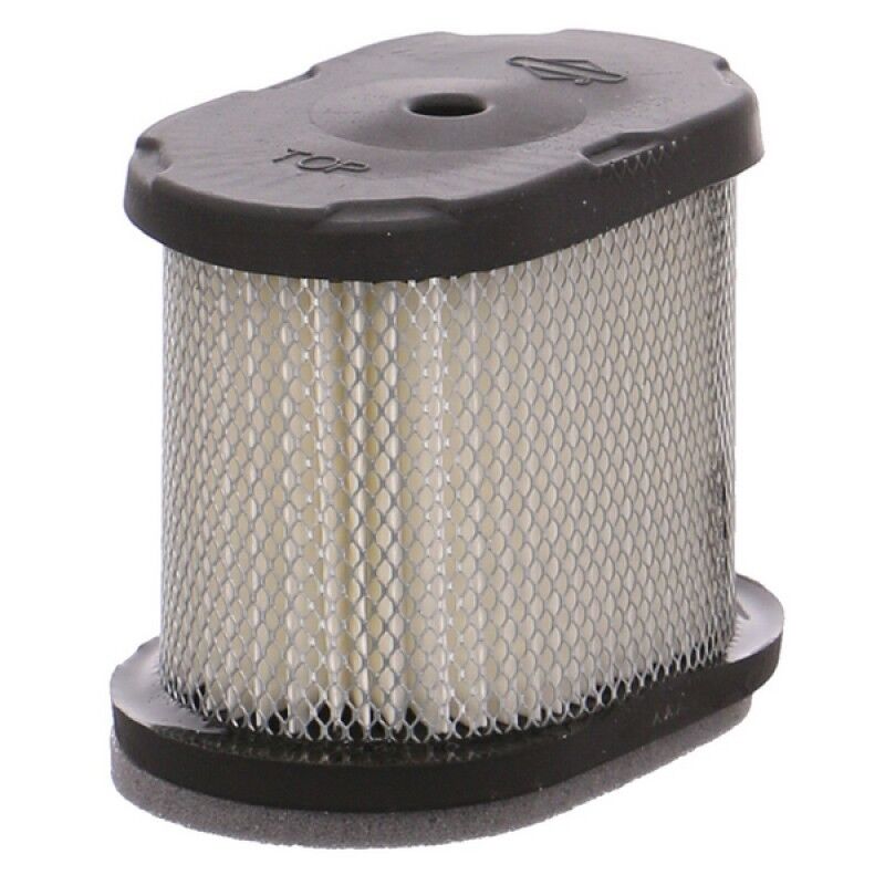 Briggs & Stratton Intek Air Filter 697029 Genuine Replacement Part