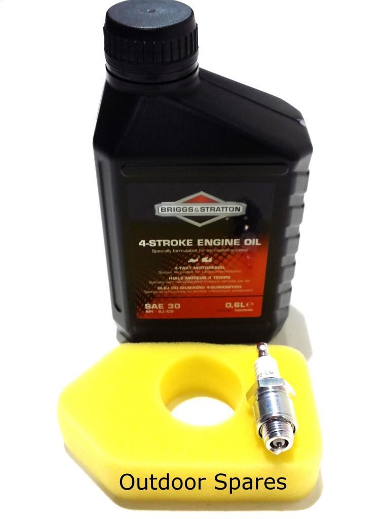 Briggs & Stratton Petrol Lawn Mower Service Kit Classic,Sprint Mountfield Hayter - Outdoor Spares